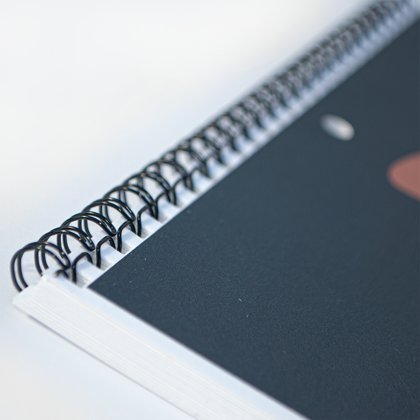 The OG Pin-Up Girls - 2024 Wall Calendar