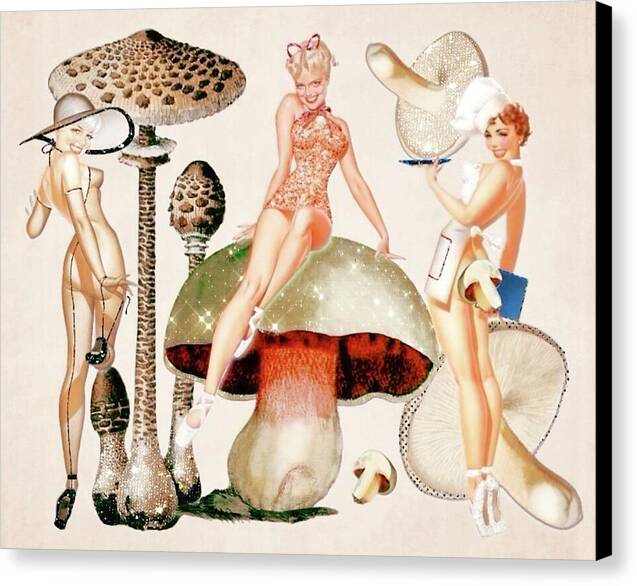 Life Under the Mushroom Caps - Canvas Print