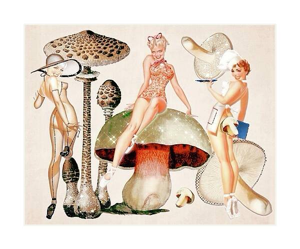 Putting The FUN in FUNGI - Horizontal Art Print