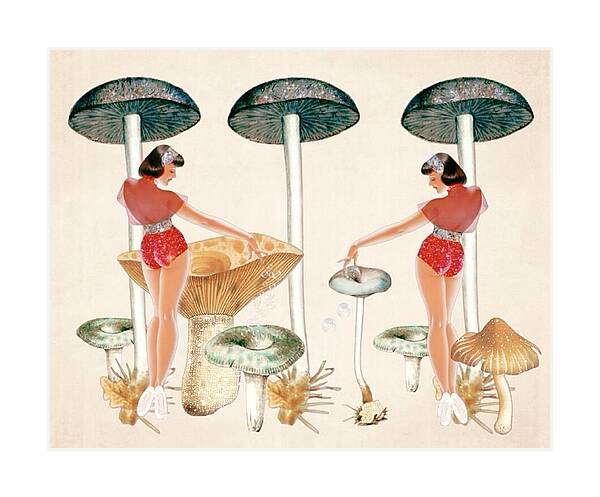 Life Under the Mushroom Caps - Horizontal Art Print
