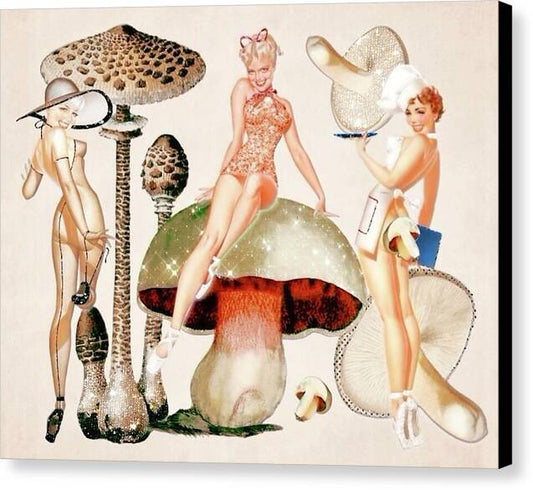 Putting The FUN in FUNGI - Canvas Print